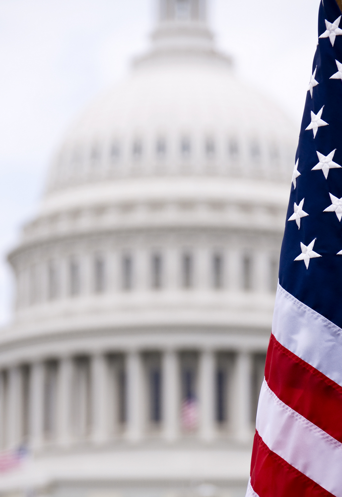 The U.S. Capitol.